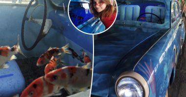 Student stumbled across fish-filled car while enjoying beach day out