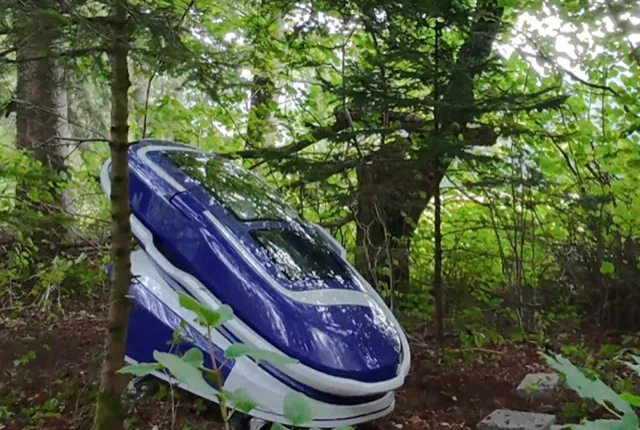 Blue and white personal vehicle in a wooded area.