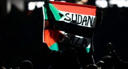 Super Bowl halftime performer arrested after police say he held flag stating 'Sudan and Free Gaza.'