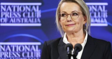 Liberal leader Sussan Ley during an address to the National Press Club of Australia in Canberra on Wednesday 25 June 2025. fedpol Photo: Alex Ellinghausen