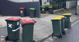 City of ï»¿Sydney Councillor ï»¿Adam Worling has moved a bold motion after noticing dozens of bins left out on the footpath and street long after collection day.