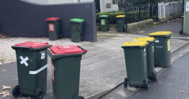 City of ï»¿Sydney Councillor ï»¿Adam Worling has moved a bold motion after noticing dozens of bins left out on the footpath and street long after collection day.