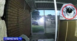 Sydney family's shock as out-of-control car smashes into home