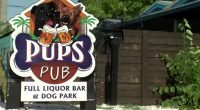 Tampa dog bar forced to shut down after losing legal battle with state