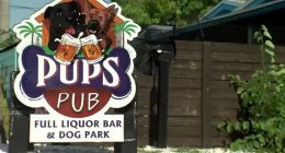 Tampa dog bar forced to shut down after losing legal battle with state