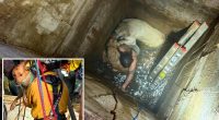 Teen trapped trying to rescue cherished dogs that fell down a California well saved by elite recuse team