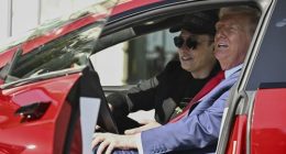 Tesla suffers wipeout as investors walk away
