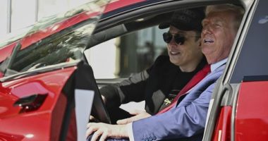 Tesla suffers wipeout as investors walk away