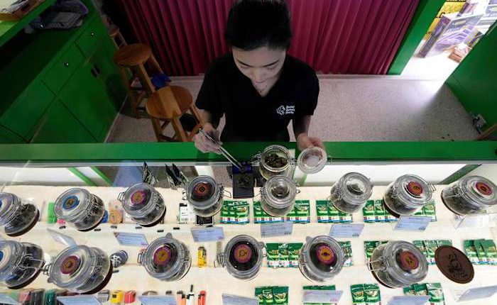 Thailand starts banning the sale of cannabis without a prescription