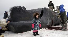 The Big, Beautiful Bill Has Some Suprising Benefits for Alaska