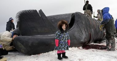The Big, Beautiful Bill Has Some Suprising Benefits for Alaska
