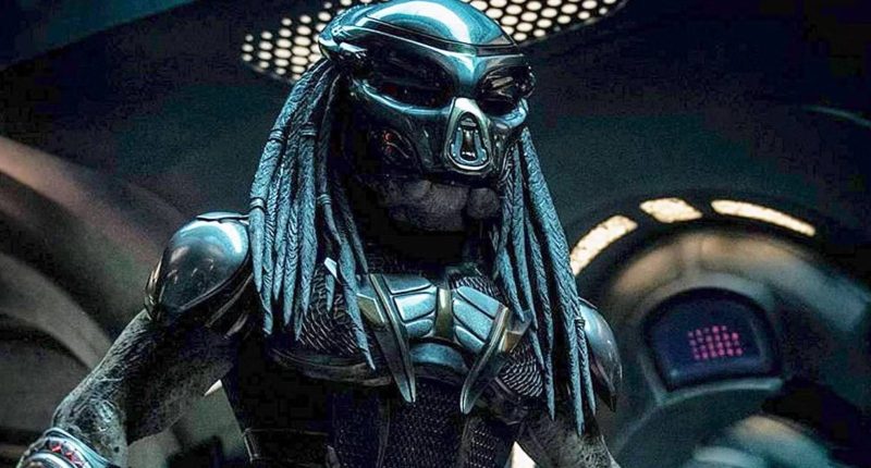 The Reason Predators Come To Earth To Hunt