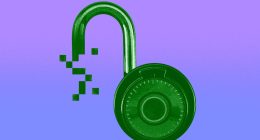 The Supreme Court just upended internet law, and I have questions