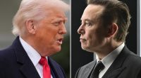 The Trump vs. Musk battle was inevitable -- but once again the president comes out on top