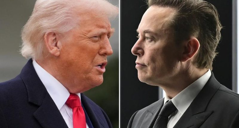 The Trump vs. Musk battle was inevitable -- but once again the president comes out on top