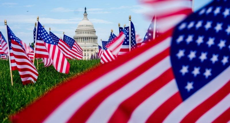 The U.S. Capitol is seen past American flags on the National Mall, Friday, June 6, 2025, on the National Mall in Washington. (AP Photo/Julia Demaree Nikhinson)