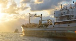 There are sunken ships all over Florida’s coasts. Here are their stories