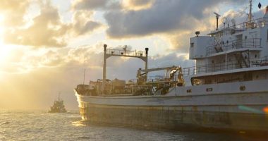 There are sunken ships all over Florida’s coasts. Here are their stories
