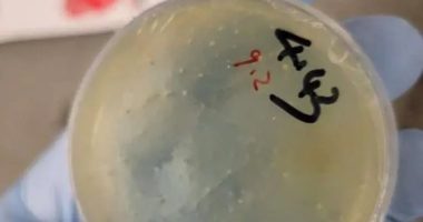 Third Chinese scientist charged with smuggling pathogen into US