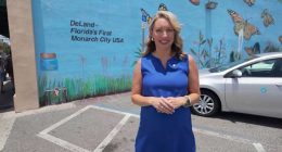 This butterfly mural in DeLand keeps getting vandalized