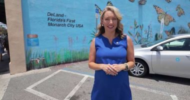 This butterfly mural in DeLand keeps getting vandalized