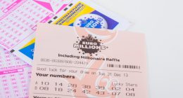 EuroMillions lottery ticket with numbers and raffle code.