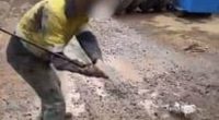Three workers have been fined over footage of a pigeon being bashed with a golf club at a minesite in Western Australia.