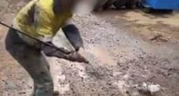 Three workers have been fined over footage of a pigeon being bashed with a golf club at a minesite in Western Australia.