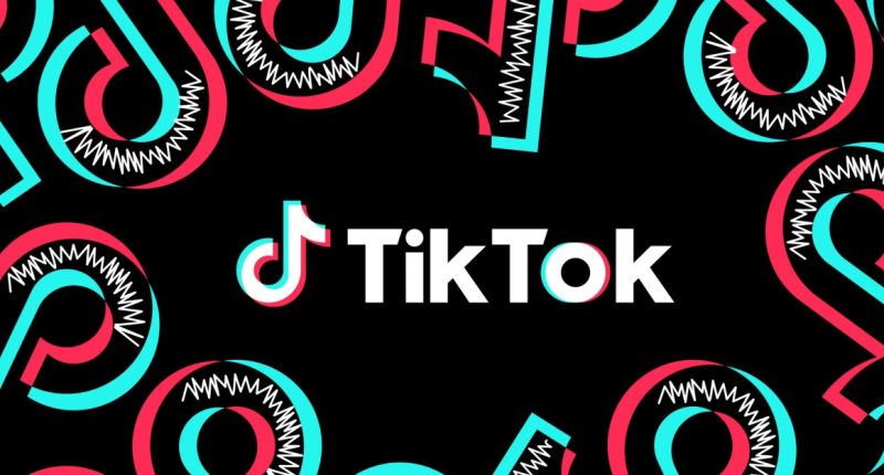 TikTok is working again | The Verge