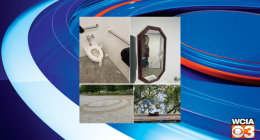 Tolono parks vandalized; park district seeking more information