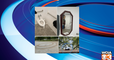 Tolono parks vandalized; park district seeking more information