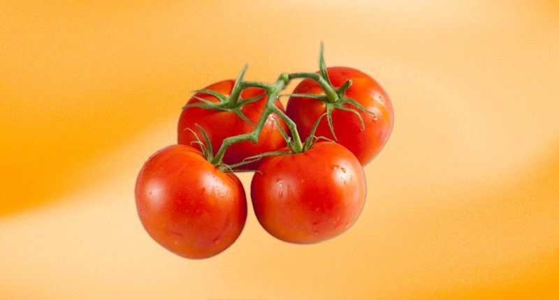 Tomato recall affecting 3 states elevated to risk of death by FDA