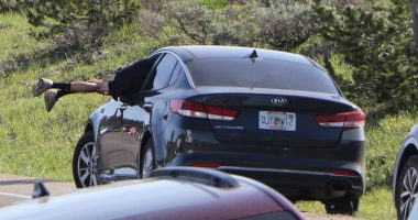 Tourist dives headfirst through open car window to avoid grizzly