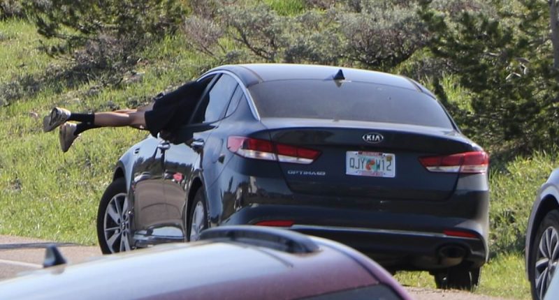 Tourist dives headfirst through open car window to avoid grizzly