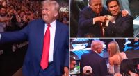 Trump arrives at UFC 316 to 'USA!' cheers amid Elon Musk spat fallout