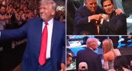 Trump arrives at UFC 316 to 'USA!' cheers amid Elon Musk spat fallout