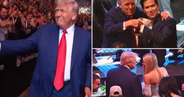 Trump arrives at UFC 316 to 'USA!' cheers amid Elon Musk spat fallout