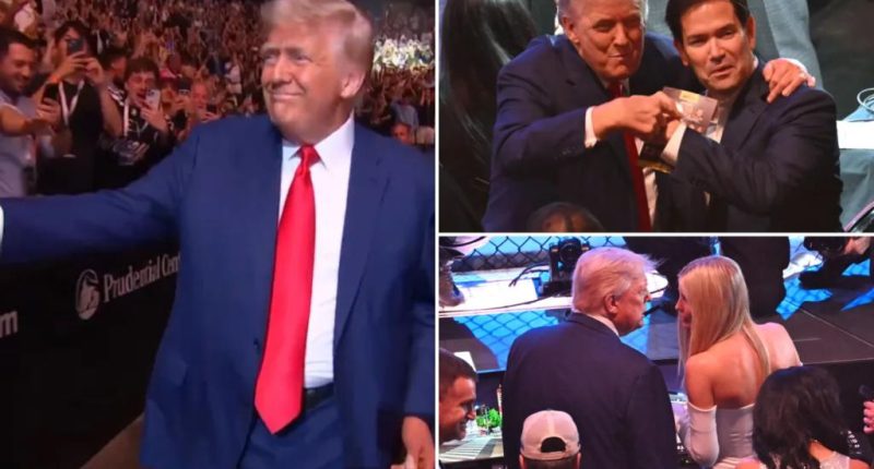 Trump arrives at UFC 316 to 'USA!' cheers amid Elon Musk spat fallout