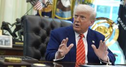 Trump asks SCOTUS to permit mass firing of federal workers