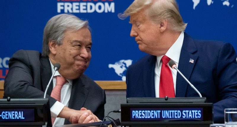 Trump does UN’s job on world stage, leads on peace while secretary-general earns more at anti-US body