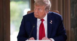 Trump fires Democratic commissioner of independent agency that oversees nuclear safety