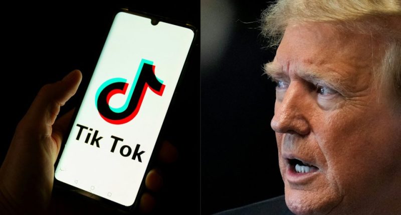 A split image showing the TikTok logo on a smartphone and Donald Trump speaking.