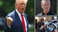 Trump says ‘I would’ arrest Gavin Newsom after California gov dares border czar to cuff him