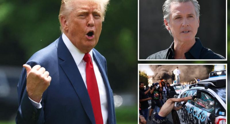 Trump says ‘I would’ arrest Gavin Newsom after California gov dares border czar to cuff him