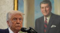Trump tariffs are legal, Smoot-Hawley Act is proof: Law prof