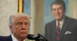 Trump tariffs are legal, Smoot-Hawley Act is proof: Law prof