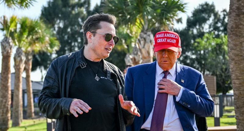 Trump warns of 'consequences' for Elon over row