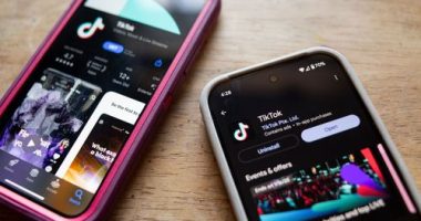 TikTok just got another lifeline from the White House, with President Donald Trump set to delay enforcement of the sale-or-ban law by another 90 days.