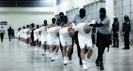 Trump's crackdown nets over 2,700 alleged members of notorious Venezuelan gang