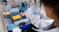 A researcher in a laboratory uses genome sequencing equipment